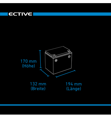 ECTIVE DC 38S AGM Deep Cycle avec LCD-Afficher 38Ah Batteries Décharge Lente