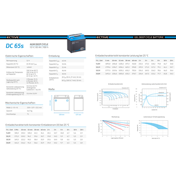 ECTIVE DC 65S AGM Deep Cycle avec LCD-Afficher 65Ah Batteries Décharge Lente