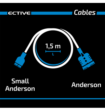 ECTIVE Adapteur Anderson small vers Anderson pour AccuBox