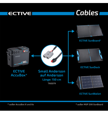 ECTIVE Adapteur Anderson small vers Anderson pour AccuBox
